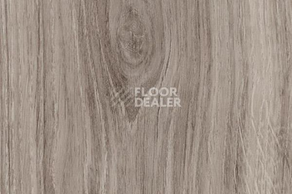 Плитка ПВХ Forbo Allura Decibel 8WAU02-3WAU02 smoked authentic oak фото 1 | FLOORDEALER